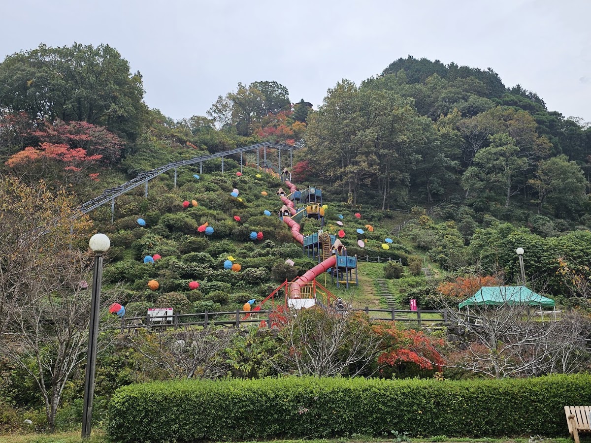 高取山公園の実際の写真
