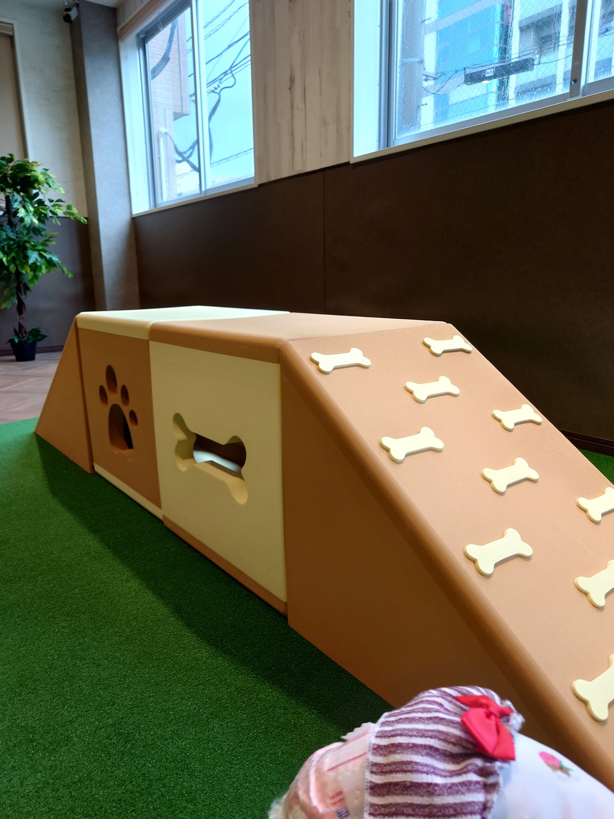 L's DogRun エルズドッグランの実際の写真