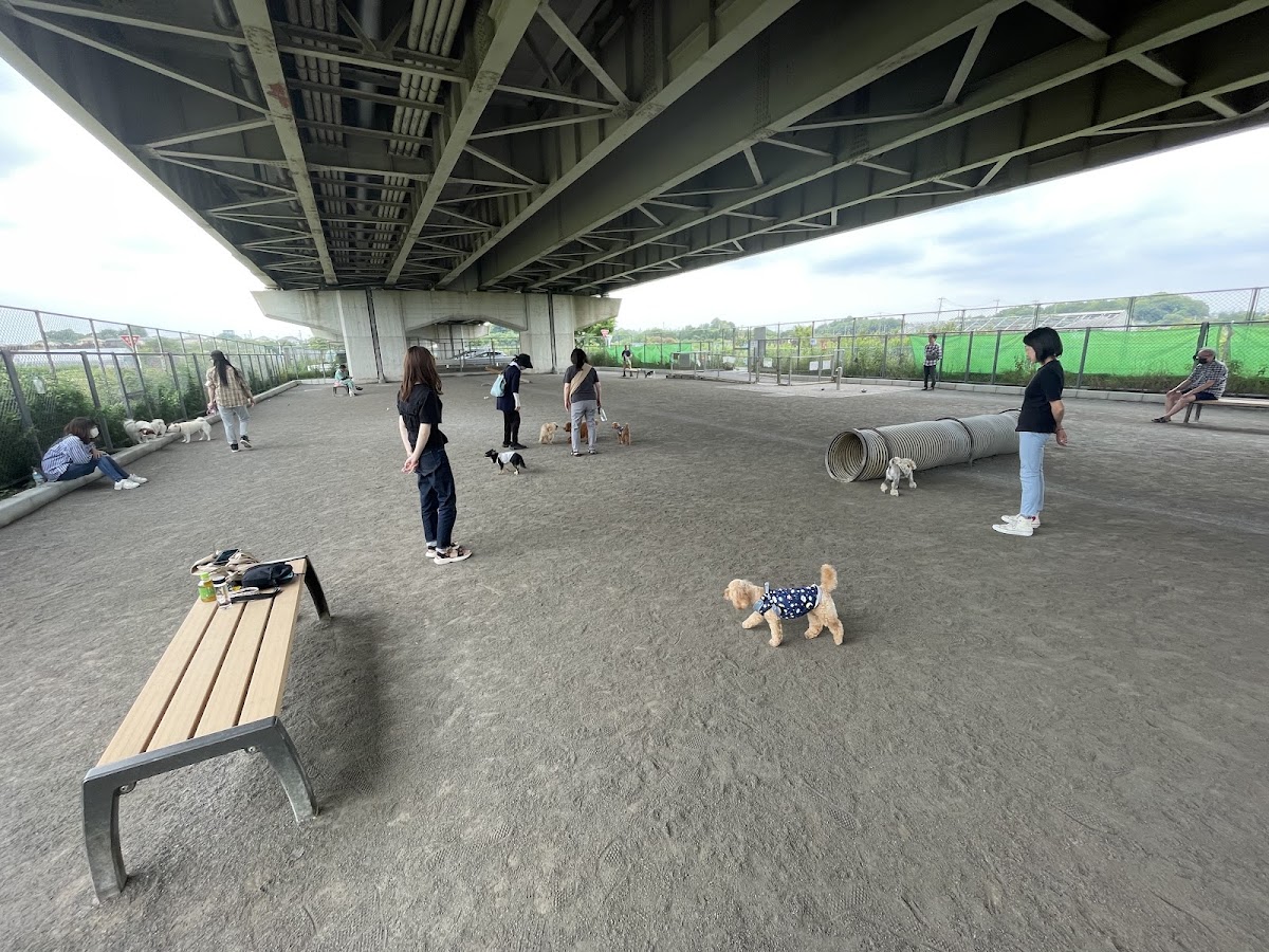 新見沼大橋スポーツ広場ドッグラン