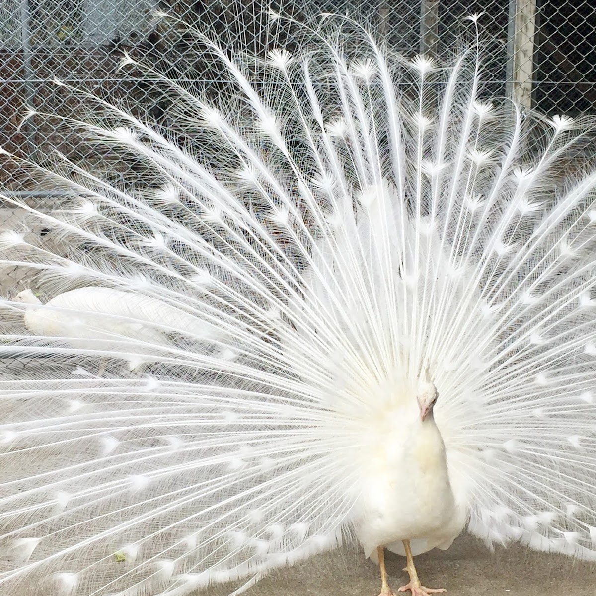 大崎自然公園の実際の写真