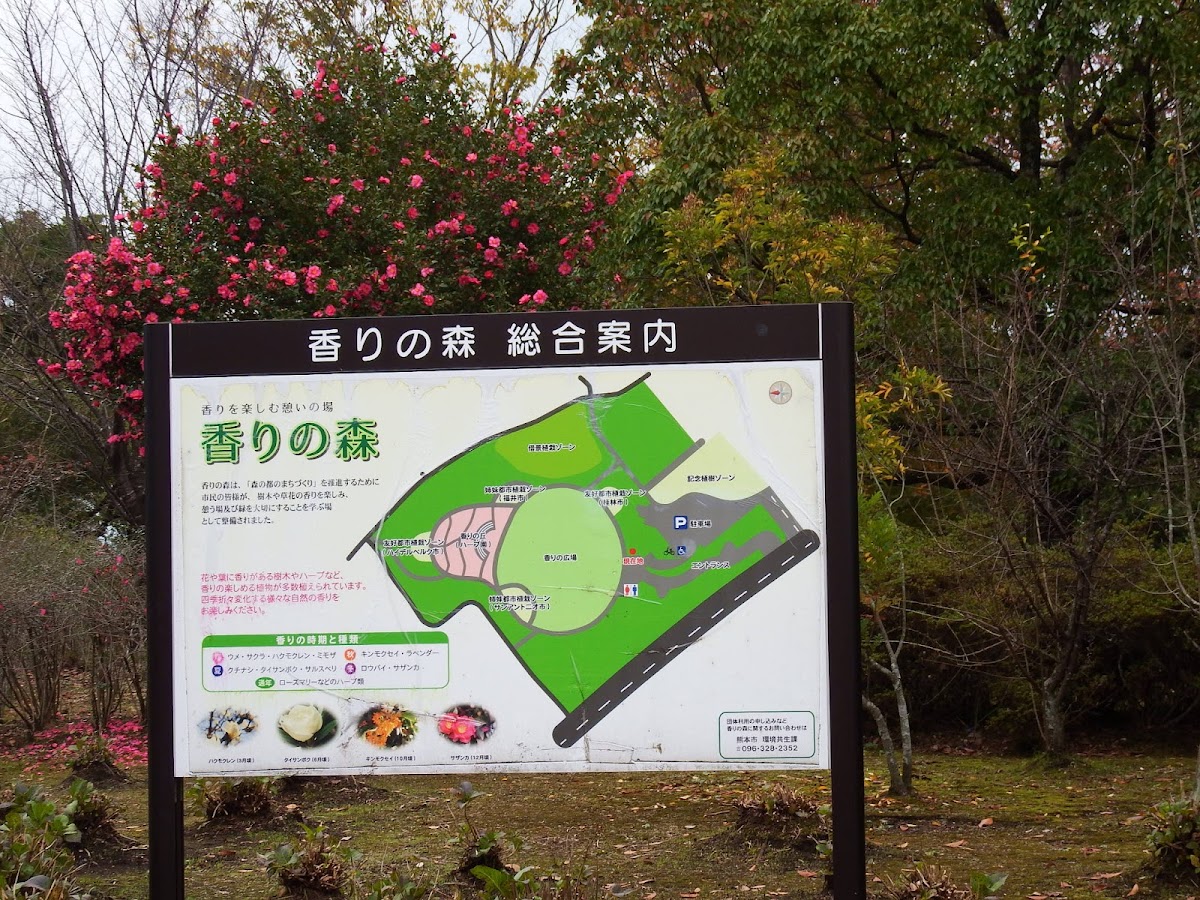 香りの森の実際の写真
