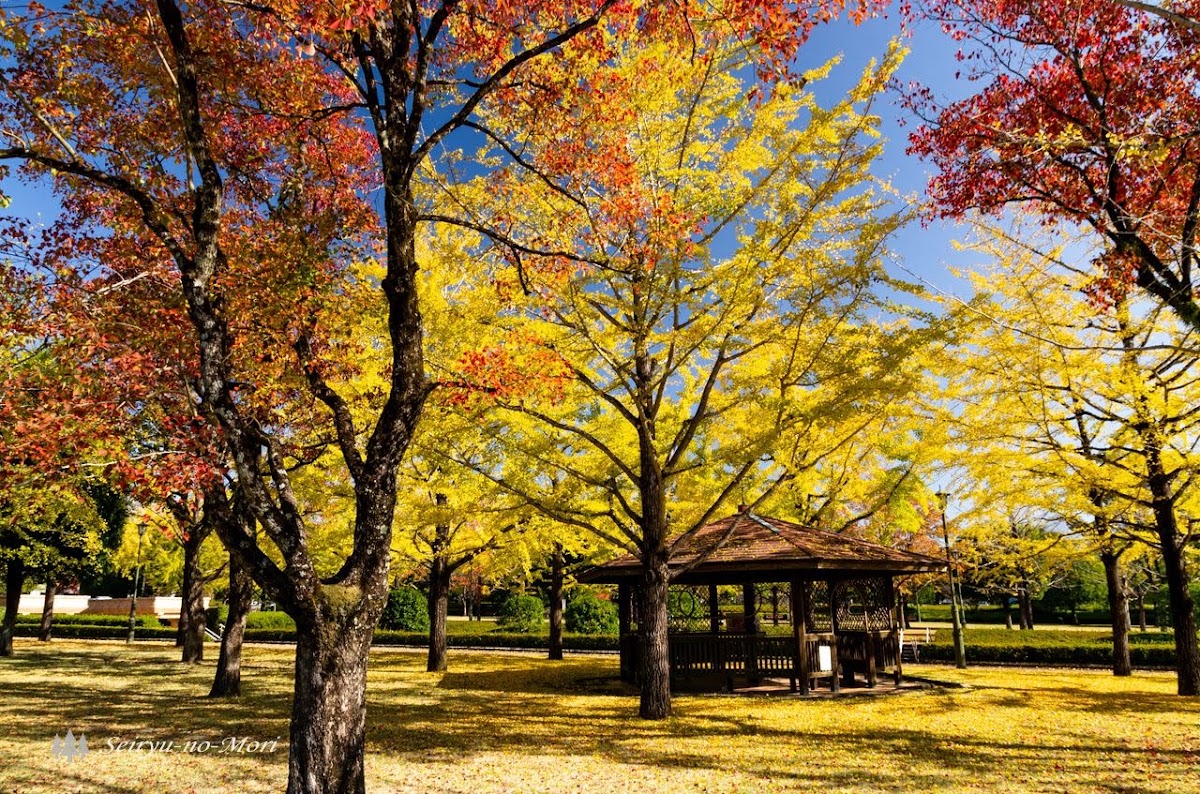 テクノ中央緑地公園