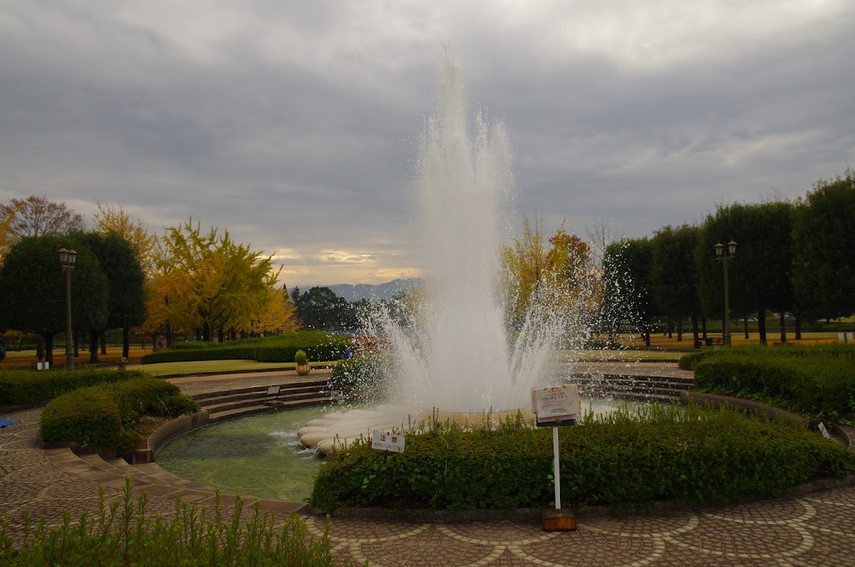 テクノ中央緑地公園の実際の写真