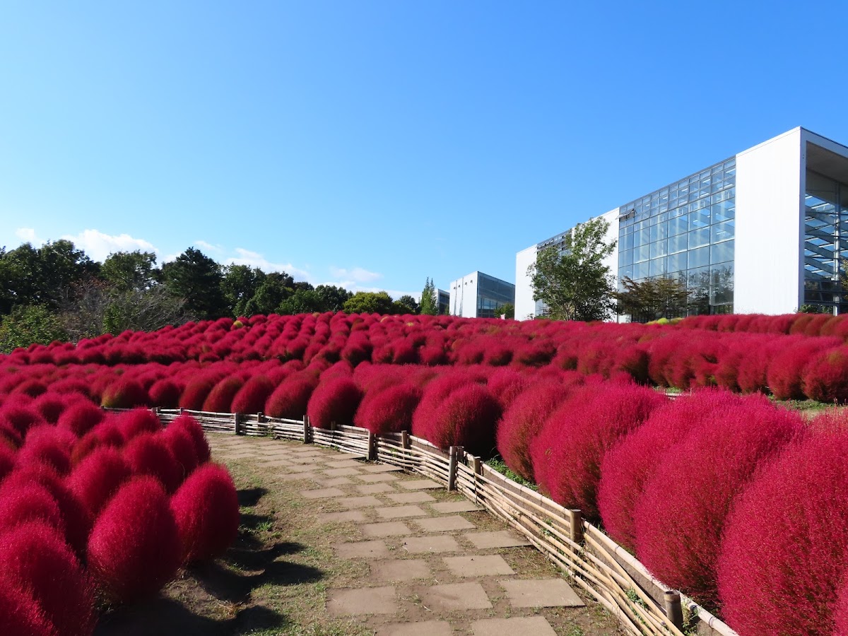 るるパーク（大分農業文化公園）
