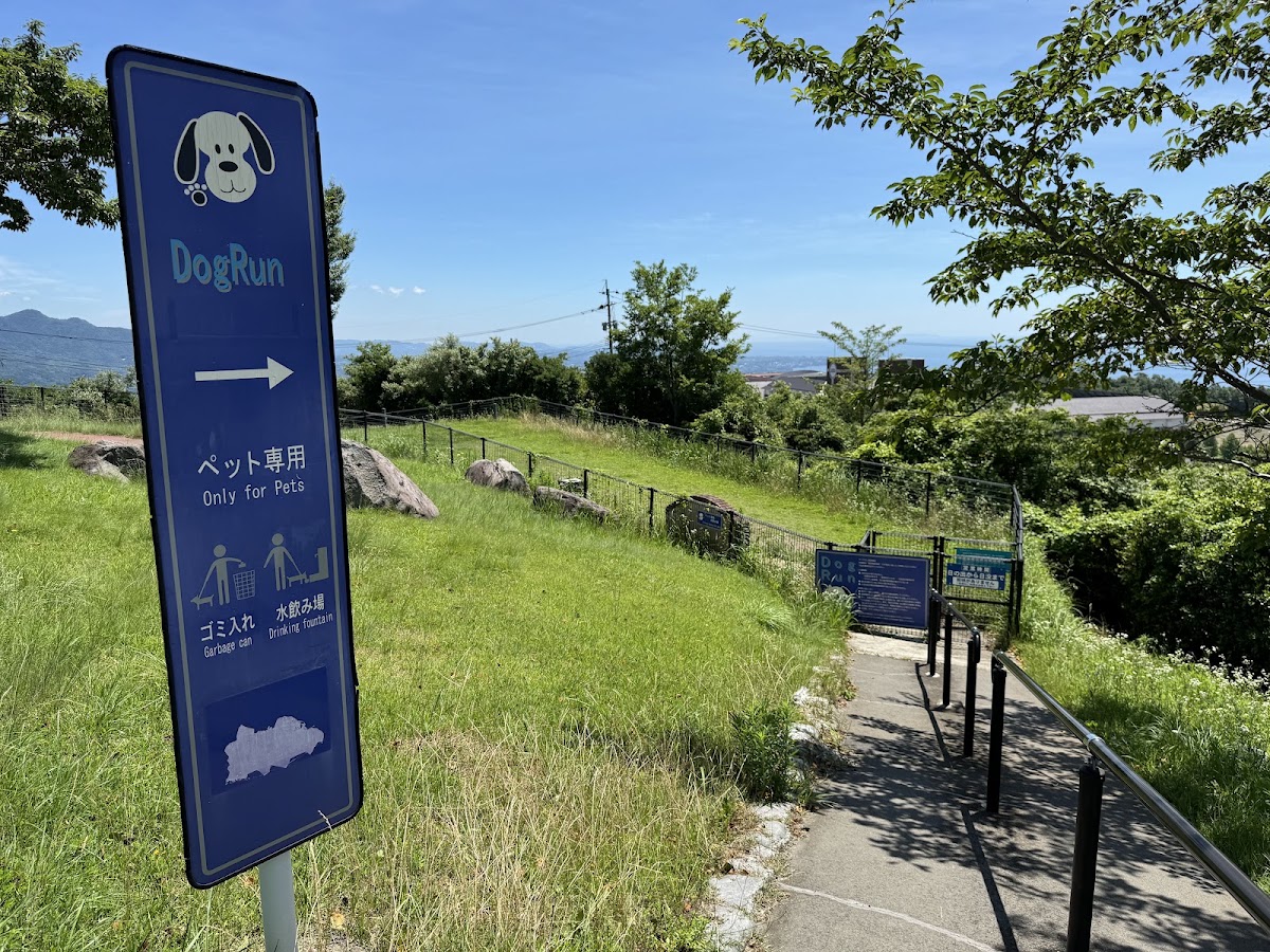 別府湾SAドッグランの実際の写真