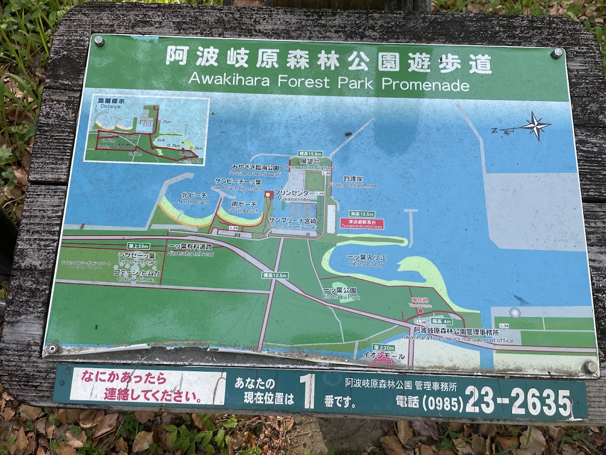 阿波岐原森林公園