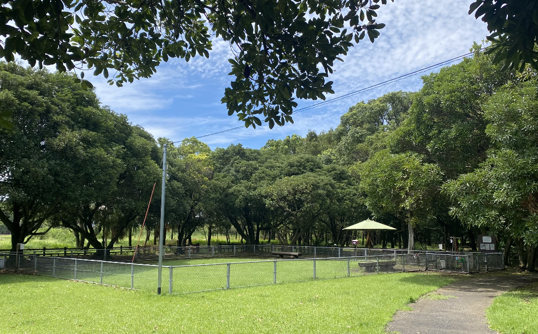 阿波岐原森林公園ドッグランの実際の写真