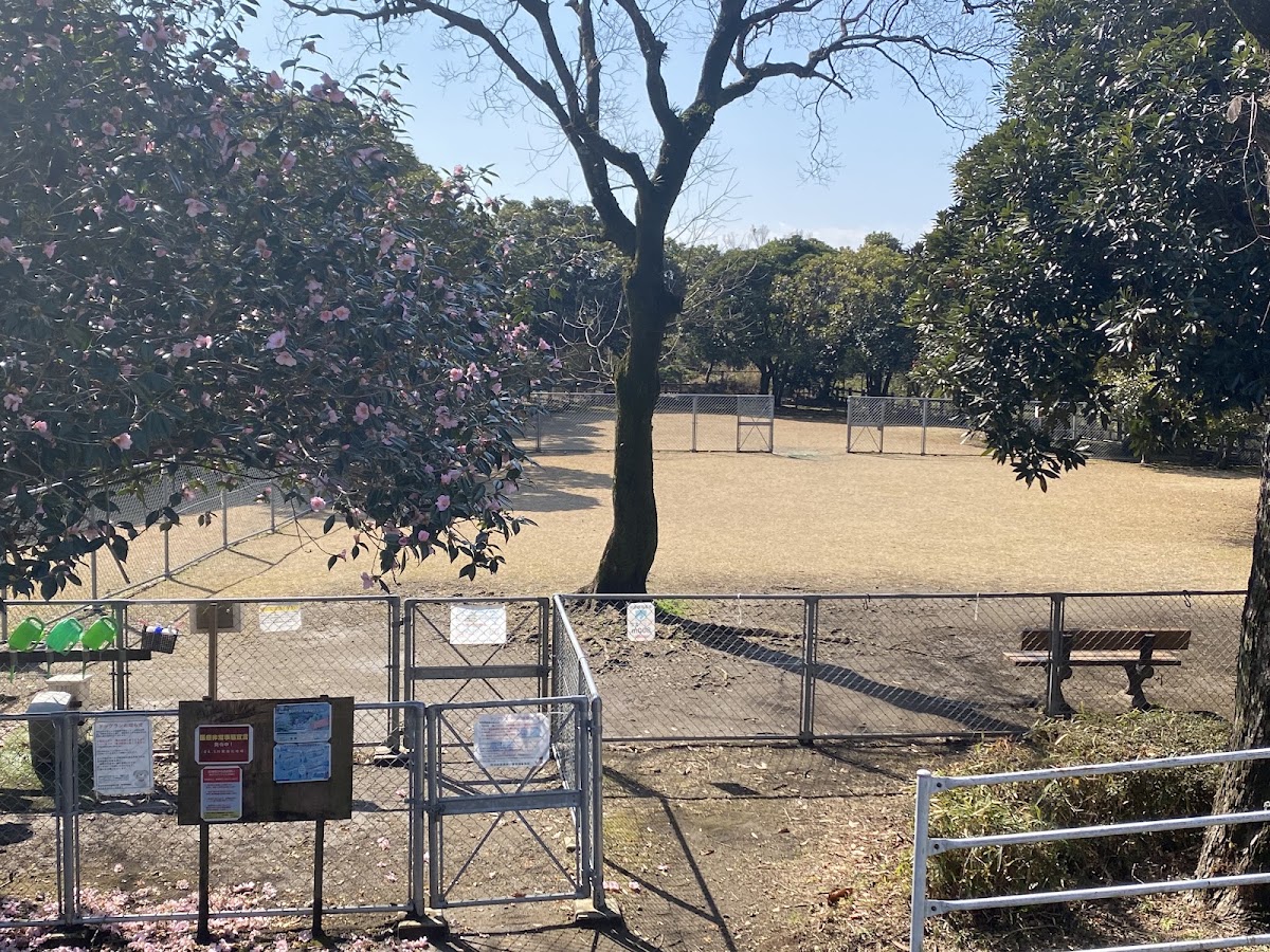 阿波岐原森林公園ドッグランの実際の写真