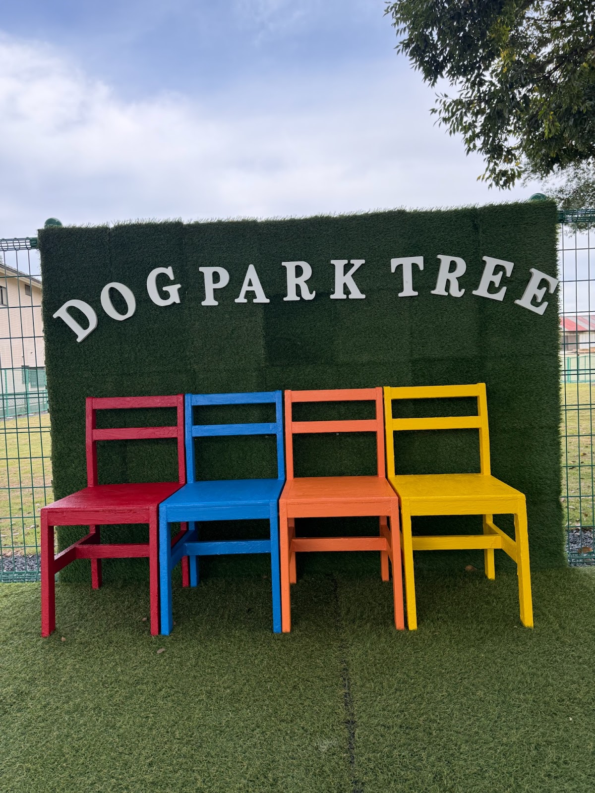 DOG PARK TREE ドッグラン