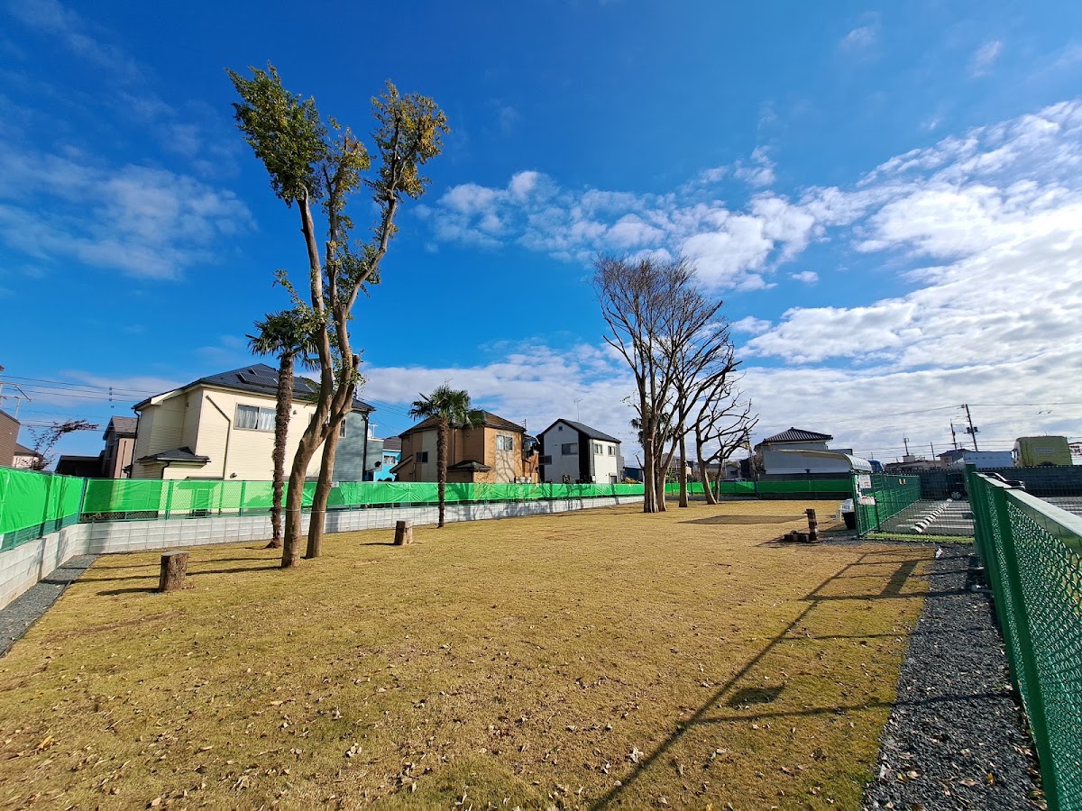 DOG PARK TREE ドッグランの実際の写真
