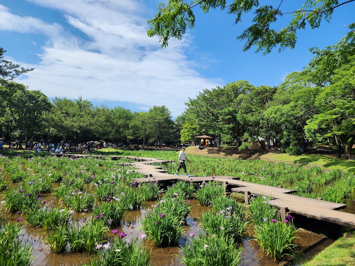 阿波岐原森林公園 市民の森の実際の写真