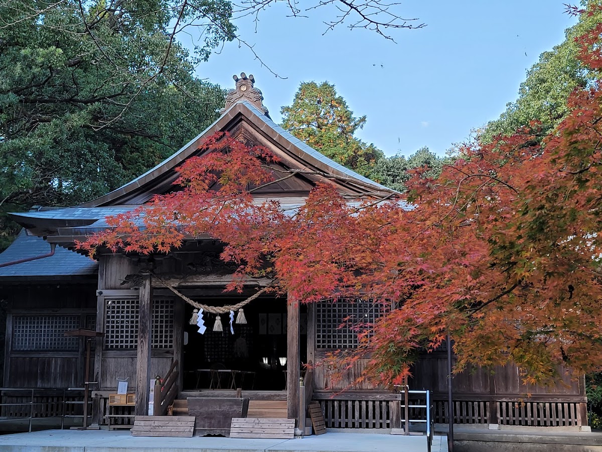 阿波岐原森林公園 市民の森の実際の写真