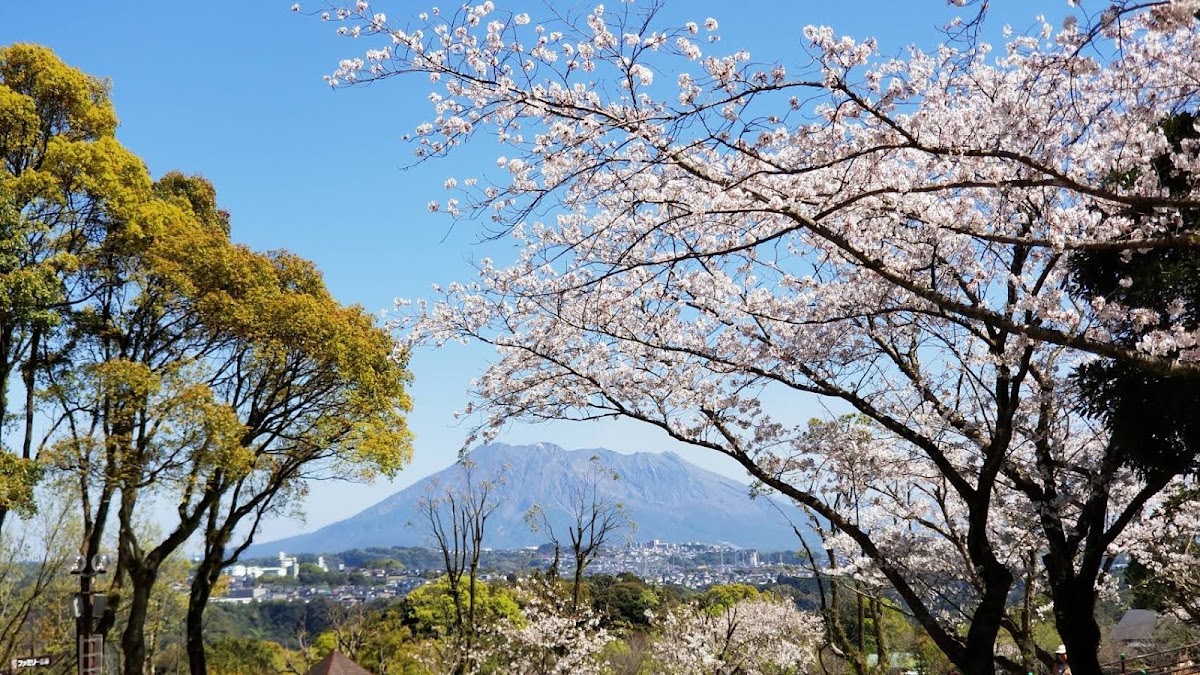 かごしま健康の森公園の実際の写真