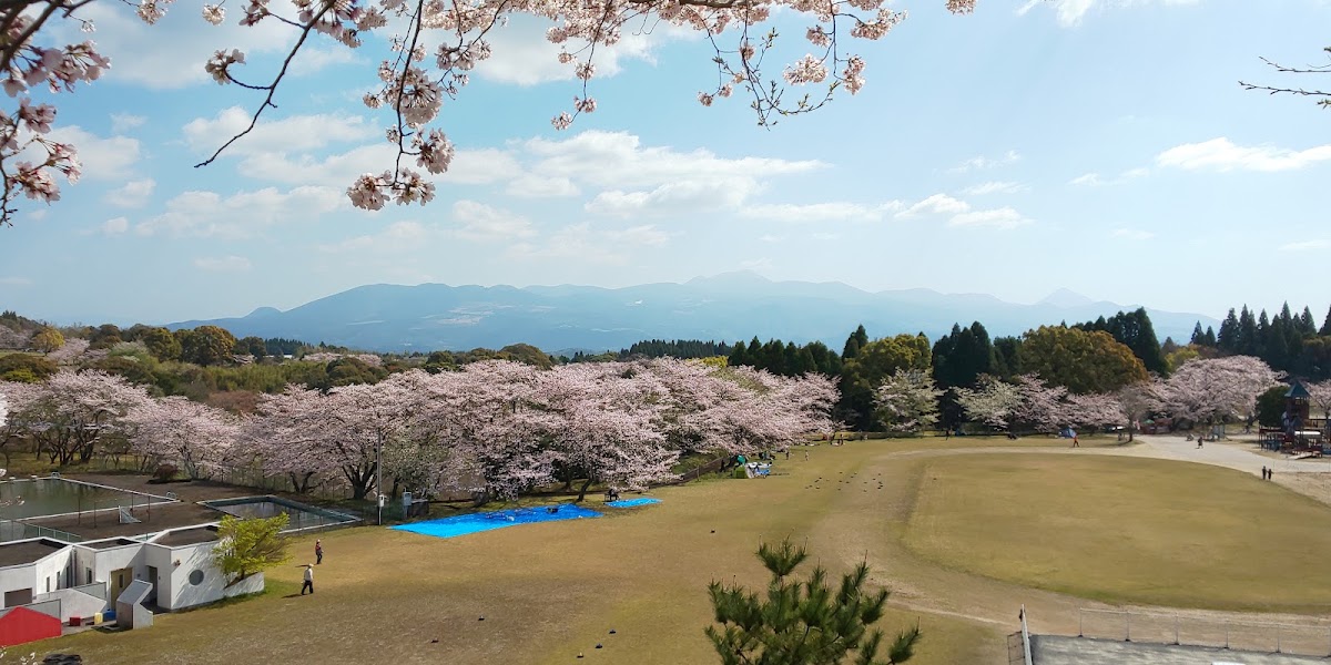 丸岡公園の実際の写真