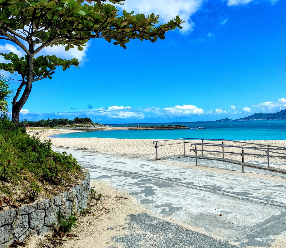 イルカ公園｢東崎都市緑地 ｣の実際の写真