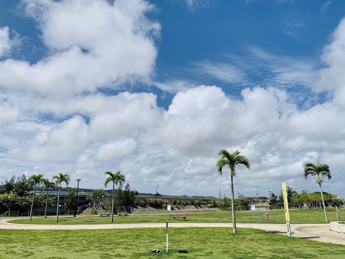 イルカ公園｢東崎都市緑地 ｣の実際の写真