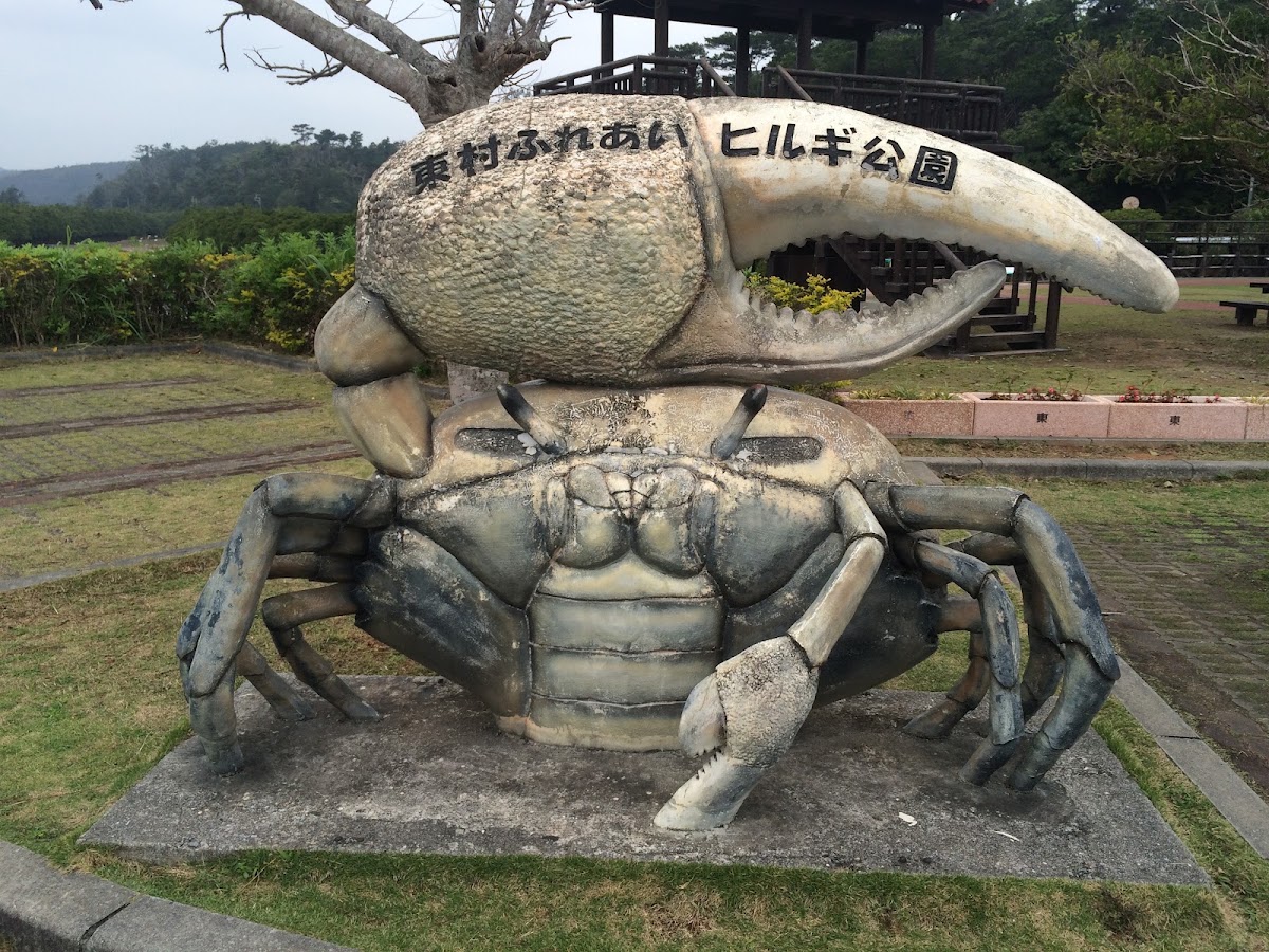 東村ふれあいヒルギ公園