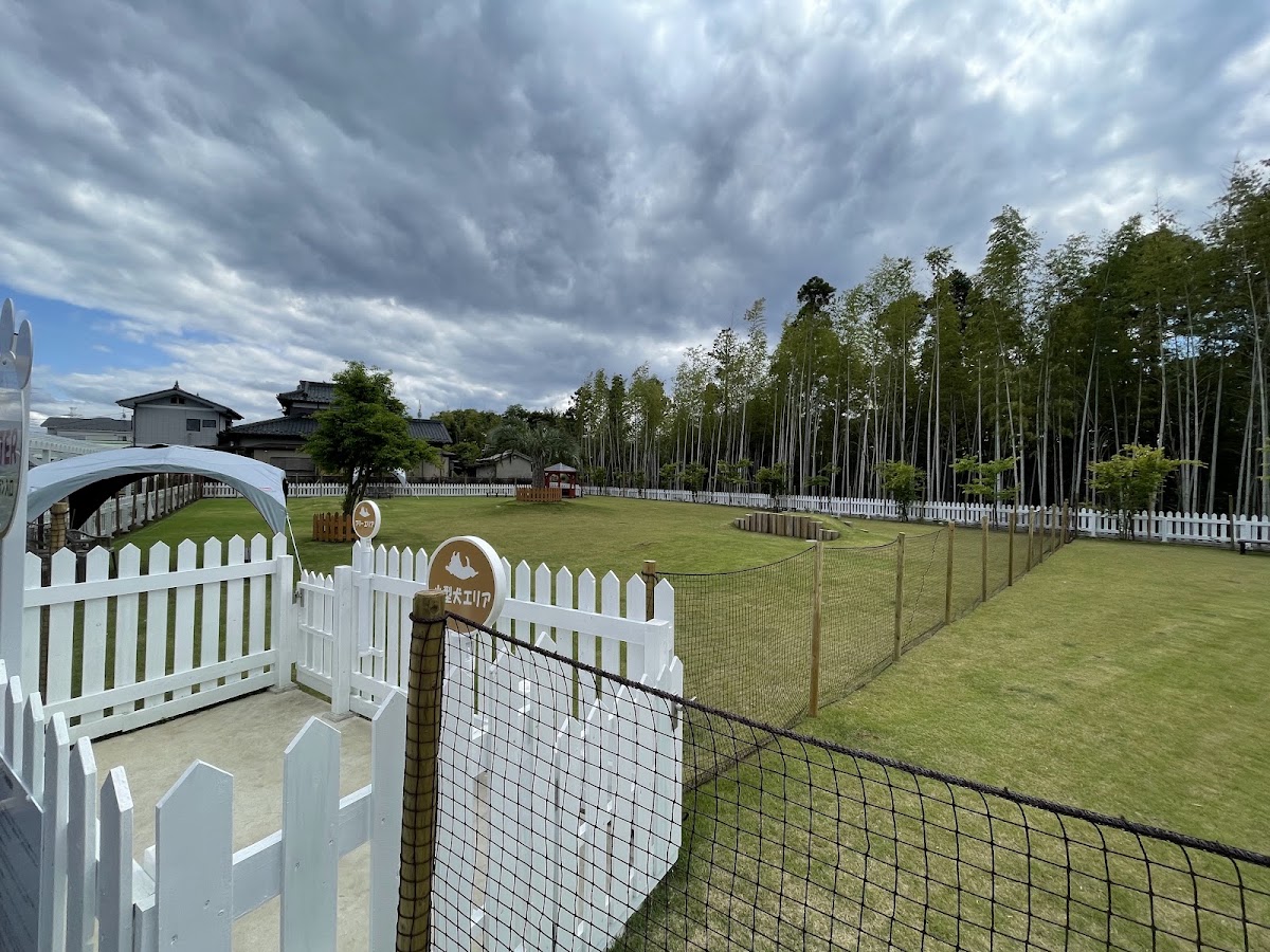 みらいの里さくら 花と里山ドッグラン jumping dogの実際の写真