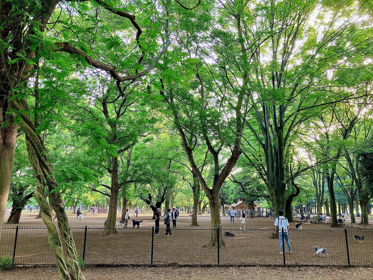 代々木公園 ドッグラン