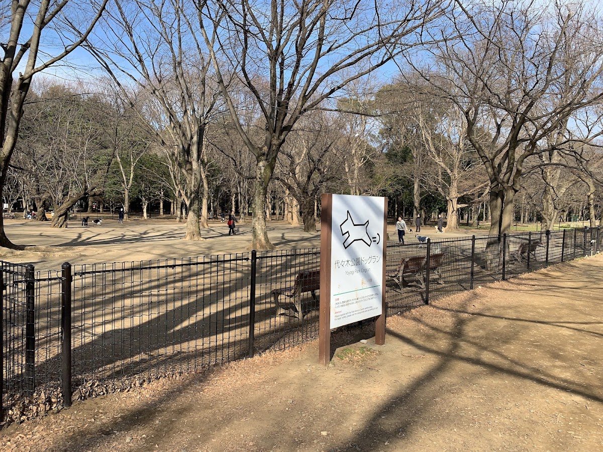 代々木公園 ドッグランの実際の写真
