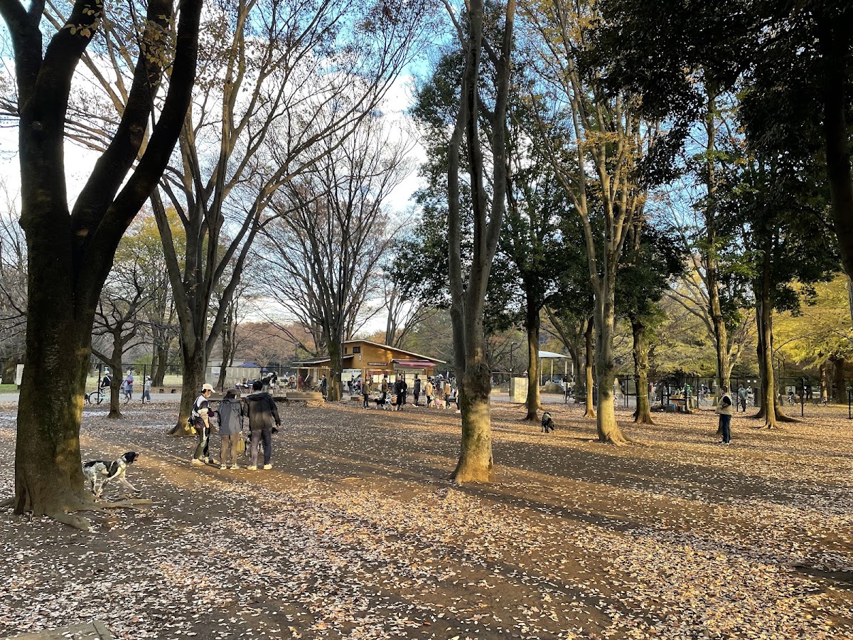 小金井公園 ドッグラン