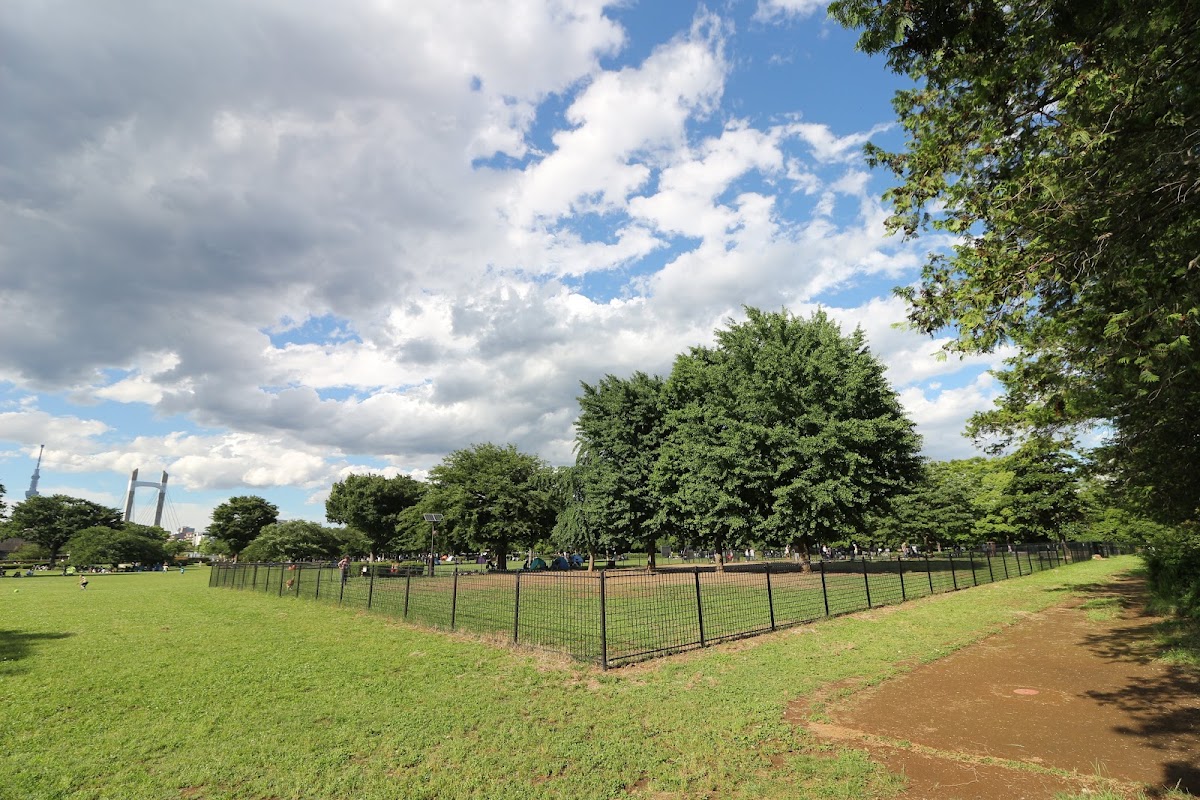 木場公園 ドッグラン