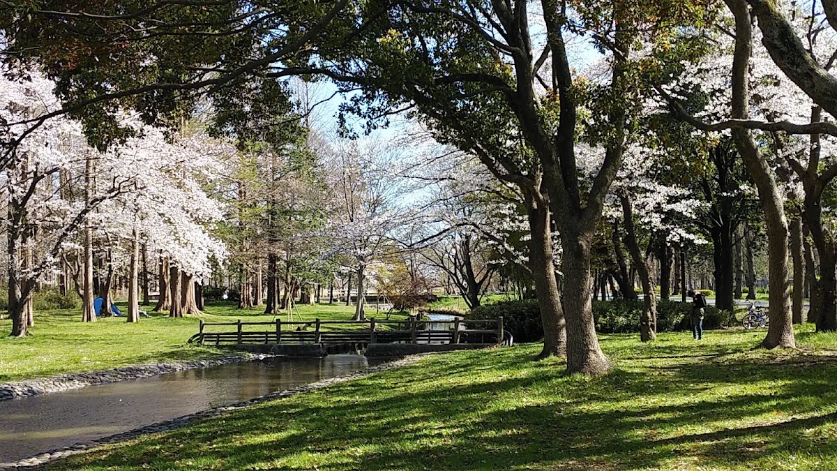 水元公園ドッグラン