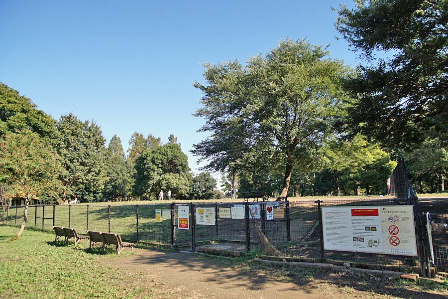水元公園ドッグランの実際の写真