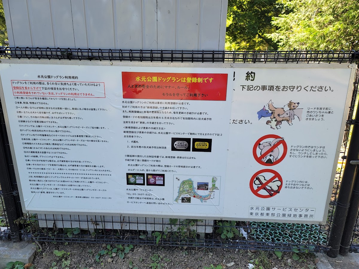 水元公園ドッグランの実際の写真