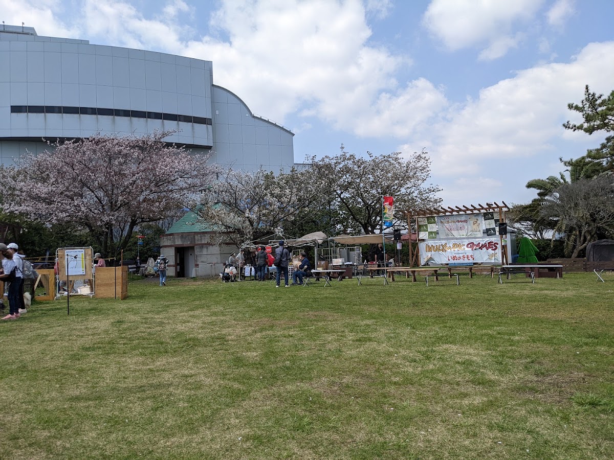 イーノの森 Dog Gardenの実際の写真