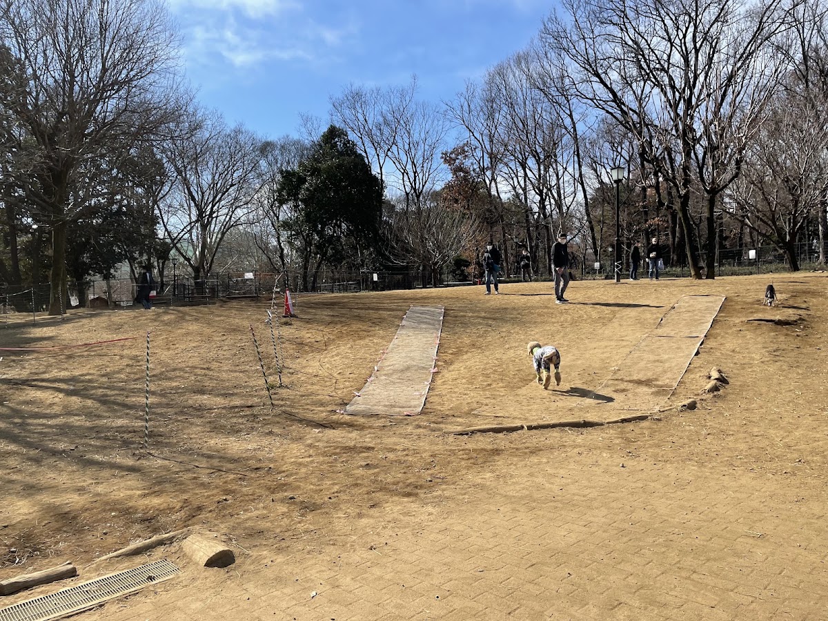蘆花恒春園ドッグラン