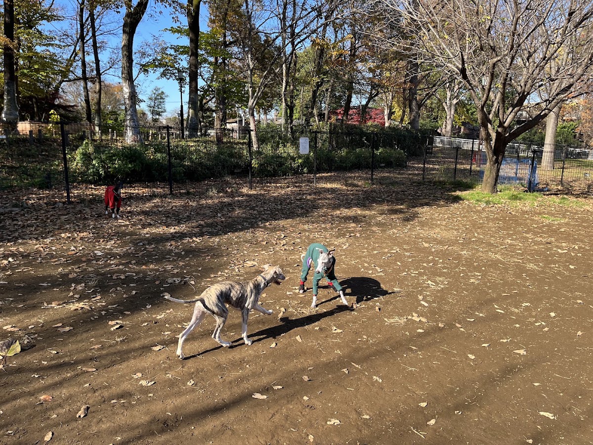 蘆花恒春園ドッグランの実際の写真
