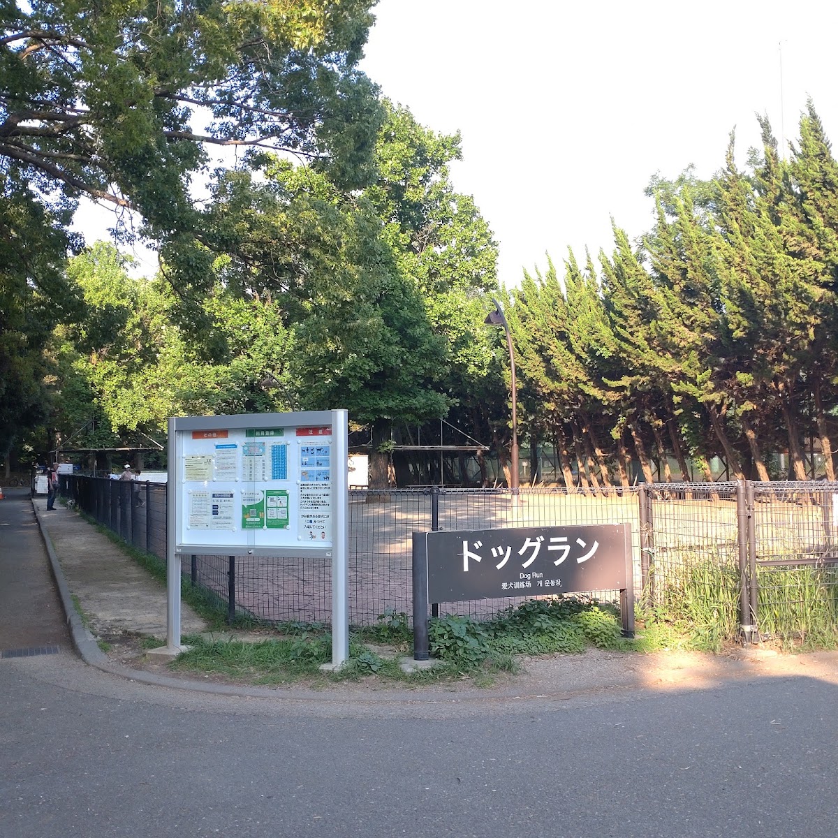 駒沢オリンピック公園ドッグランの実際の写真