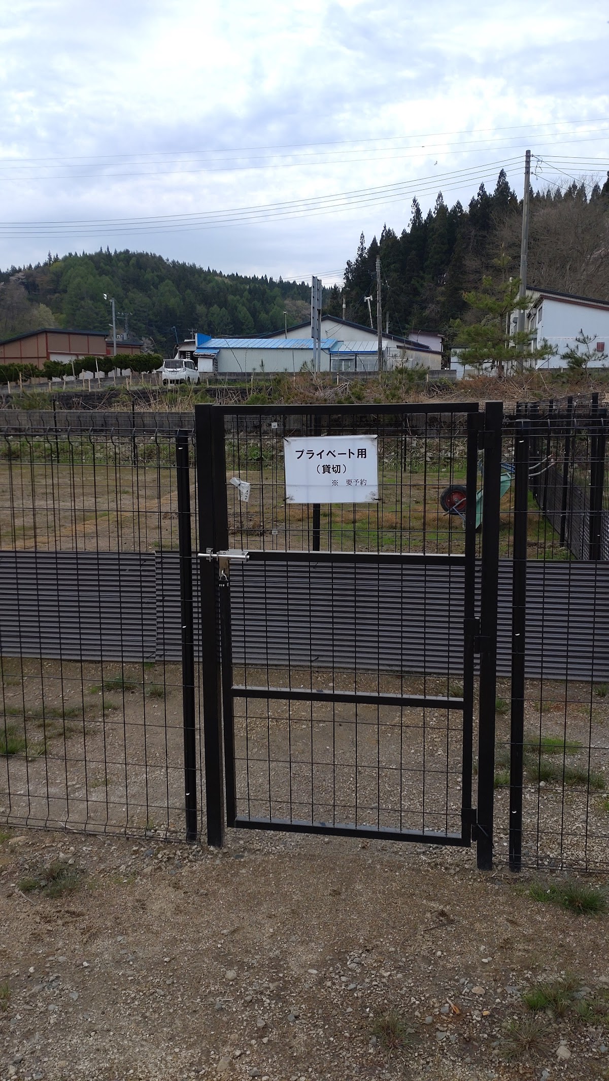 NPO法人Wishドッグランの実際の写真