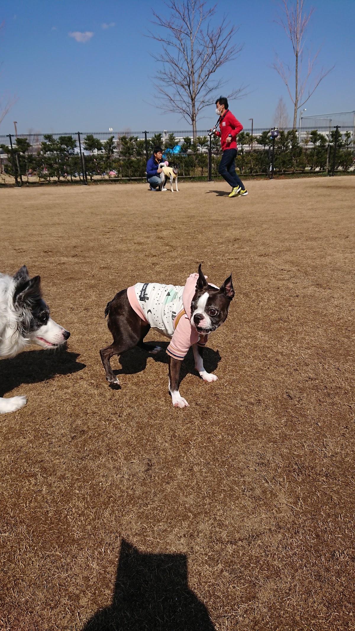 新横浜公園 ドッグラン