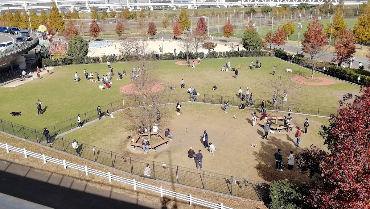 新横浜公園 ドッグランの実際の写真