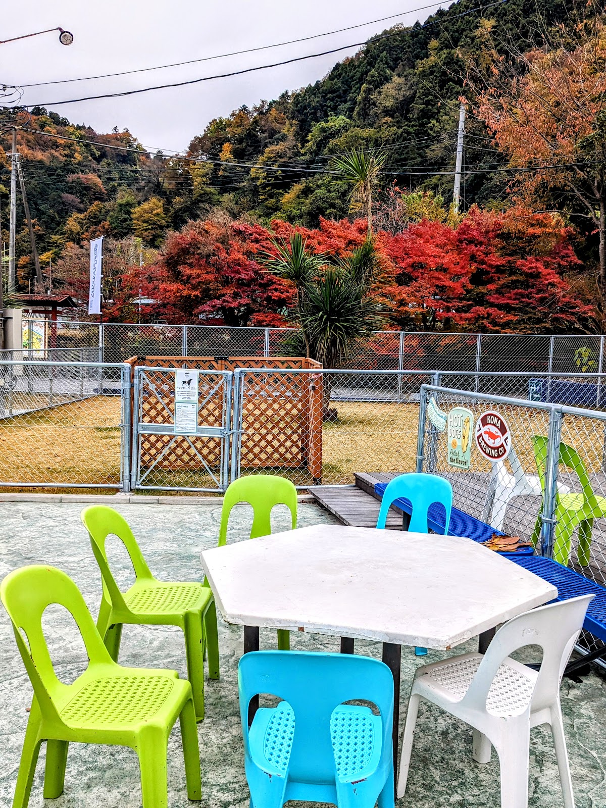 the park ドッグランの実際の写真