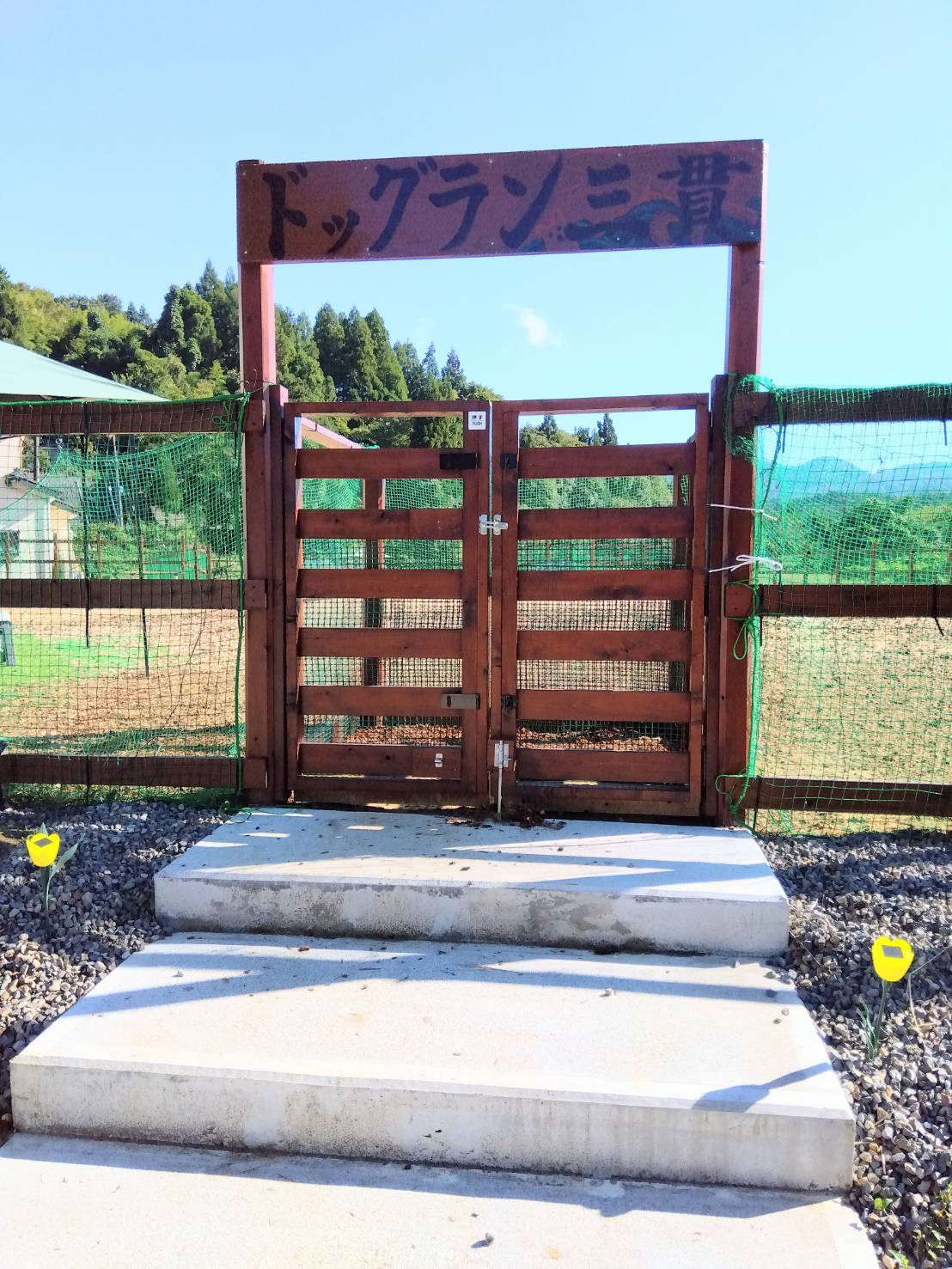 ドッグラン三貫の実際の写真