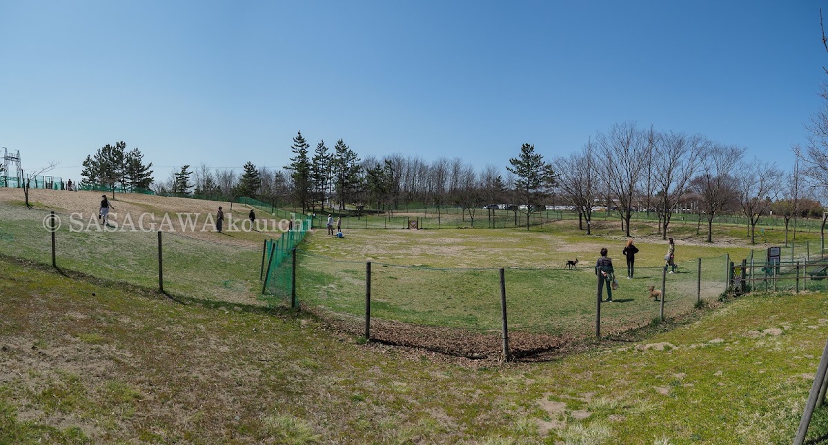 島見緑地公園ドッグラン