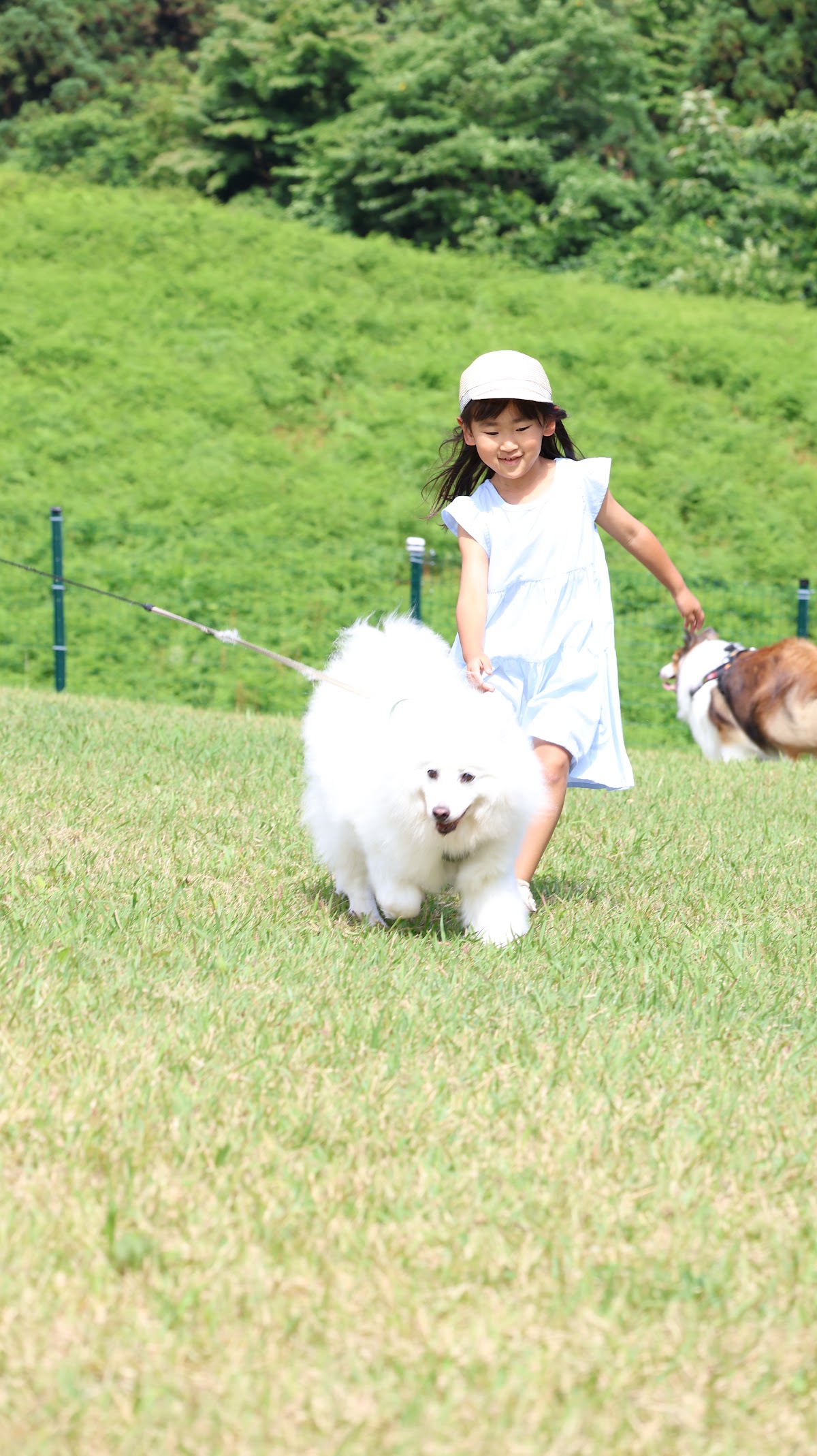 小出公園ドッグランの実際の写真