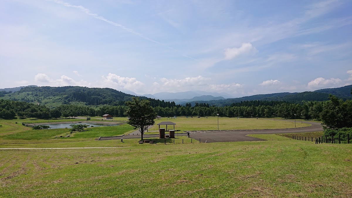たにはま公園 ドッグランの実際の写真