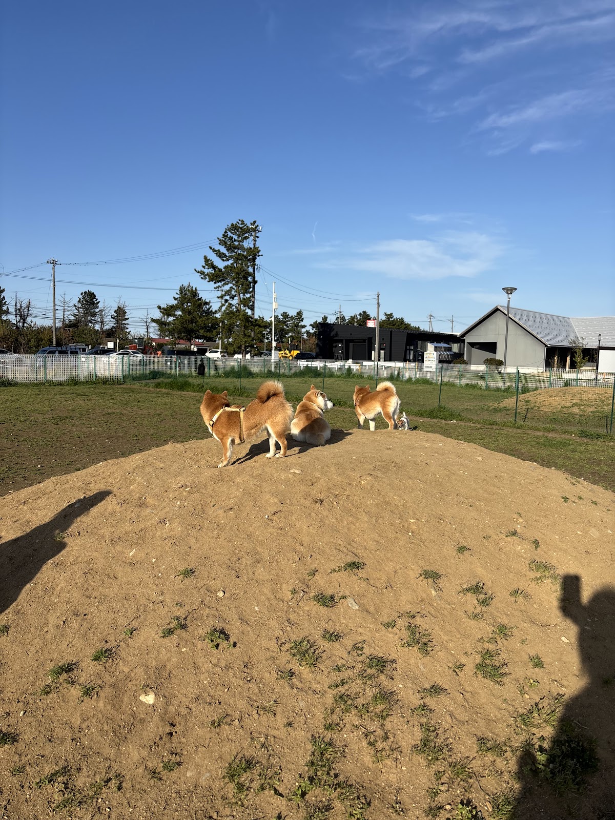 足洗潟公園 ドッグランの実際の写真