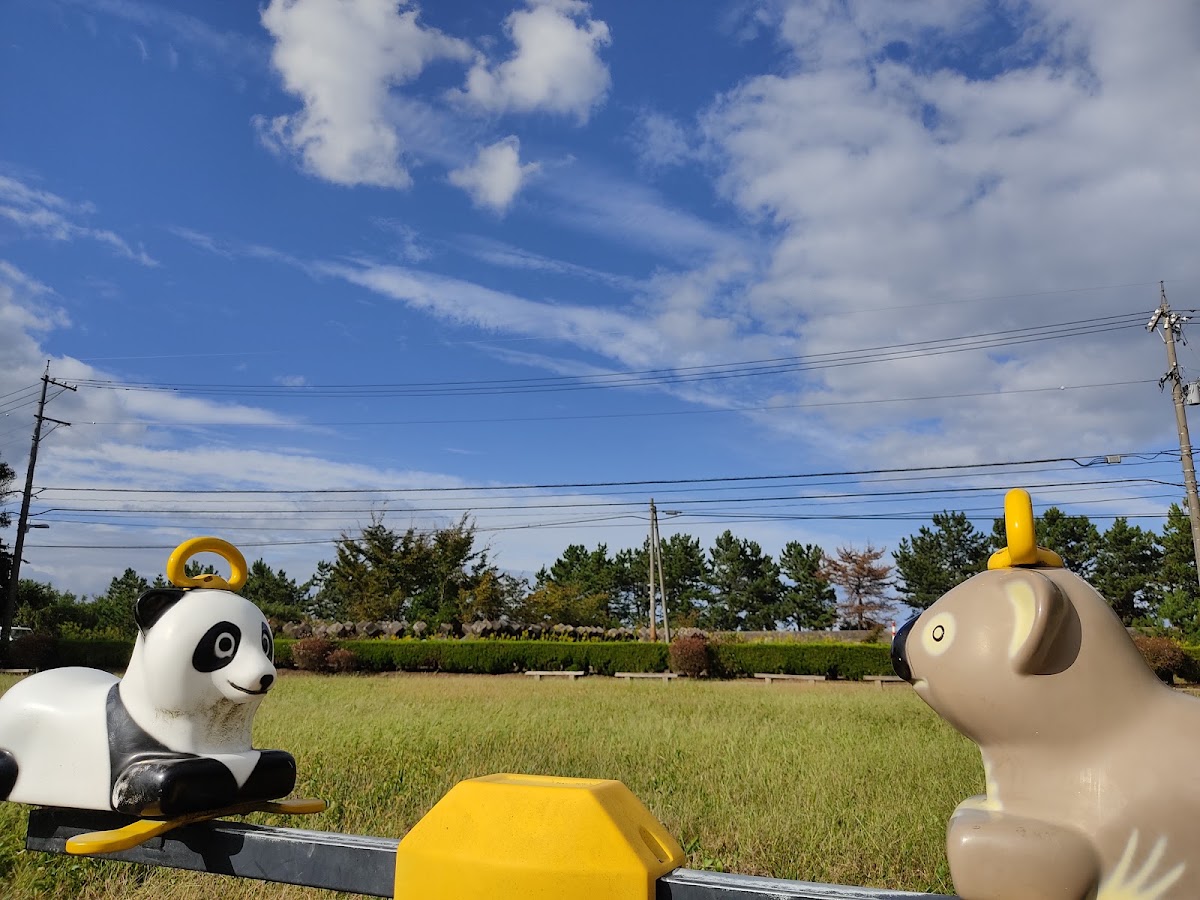 足洗潟公園 ドッグランの実際の写真