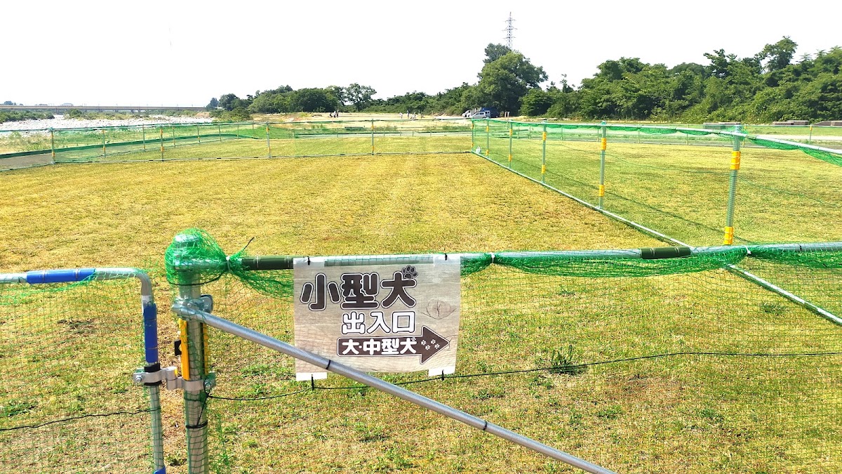 ドッグラン（早月川緑地）の実際の写真