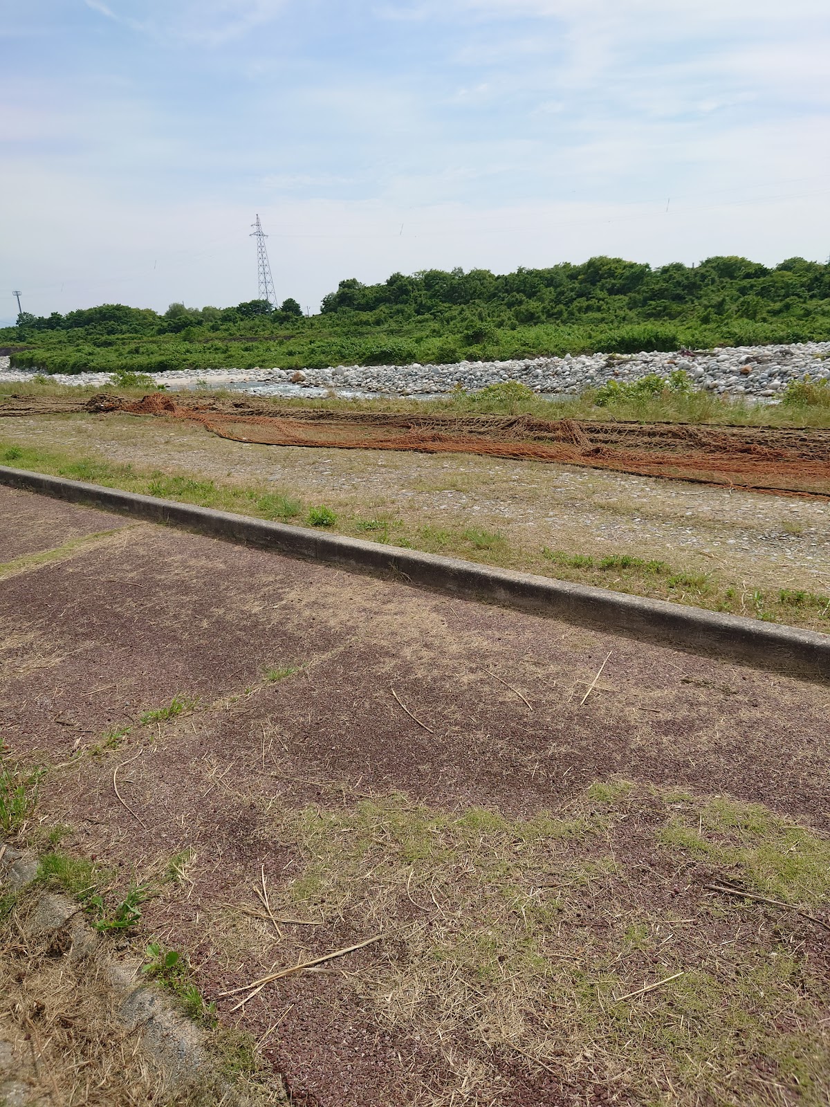 ドッグラン（早月川緑地）の実際の写真