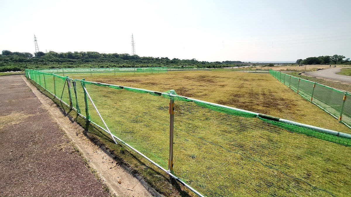 ドッグラン（早月川緑地）の実際の写真