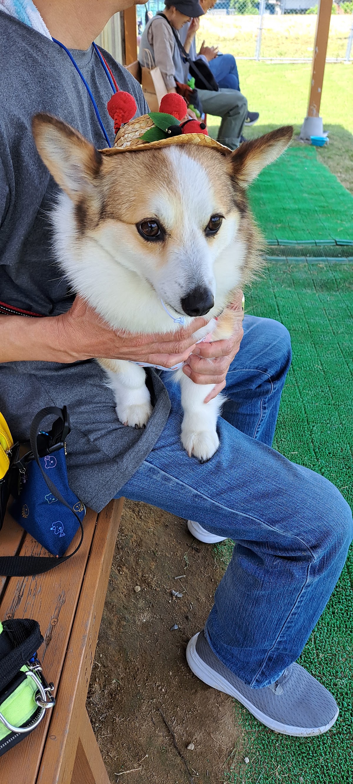 ＤＯＧ Ｐａｒｋ 福光（ドッグパークふくみつ）の実際の写真