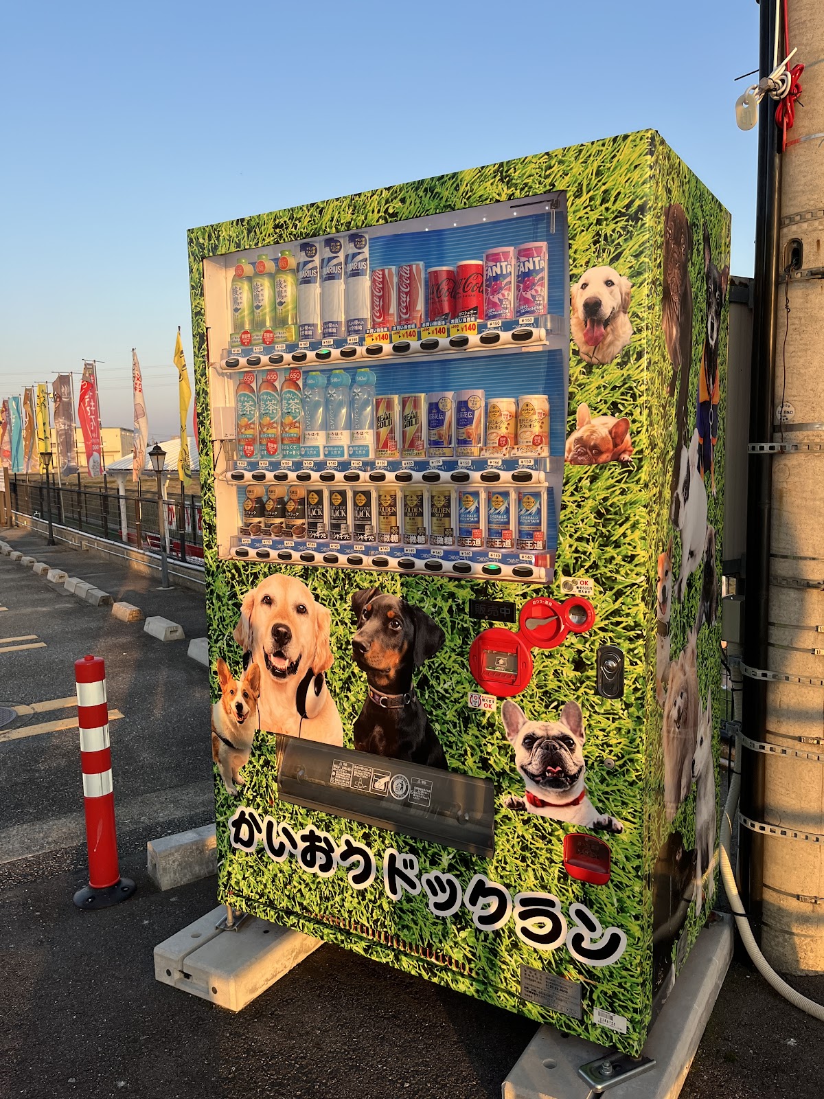 かいおうドッグランの実際の写真